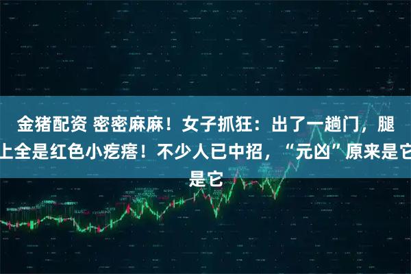 金猪配资 密密麻麻！女子抓狂：出了一趟门，腿上全是红色小疙瘩！不少人已中招，“元凶”原来是它