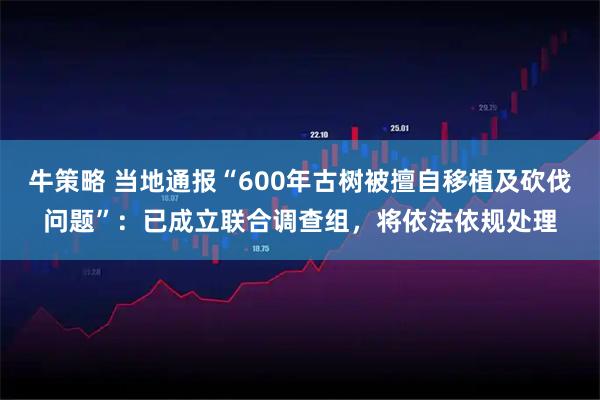 牛策略 当地通报“600年古树被擅自移植及砍伐问题”：已成立联合调查组，将依法依规处理