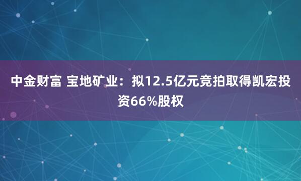 中金财富 宝地矿业：拟12.5亿元竞拍取得凯宏投资66%股权