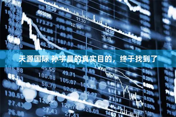 天源国际 孙宇晨的真实目的，终于找到了